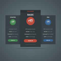 Pricing table template for hosting business with three plans. Ve