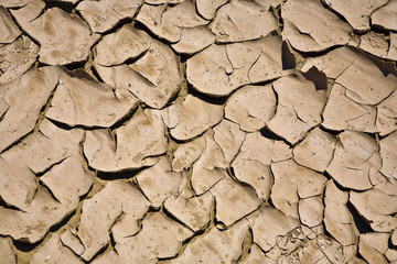 dried and cracked mud
