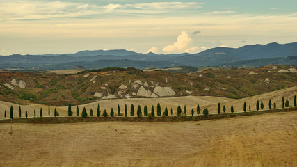 Toscania, Włochy, Krajobraz wiejski - obrazy, fototapety, plakaty