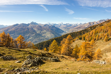 Panorama autunnale in montagna