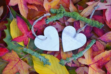 Foto auf Alu-Dibond twee houten harten met herfstbladeren © trinetuzun