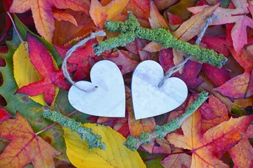 Fototapeten twee houten harten met herfstbladeren © trinetuzun