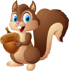 Carton squirrel holding acorn © artnovielysa