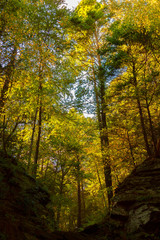 Colorful fall scenery landscapes.