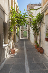 Flowers and Plants in the narrow streets of Rethymno