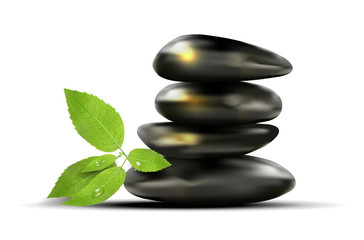 Fototapeta premium Black stones and green leafs with dew-drops