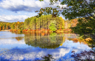 Colorful fall scenery landscapes.