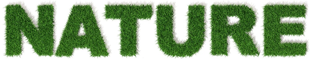 Natura lettere erba verde, scritta isolata su sfondo bianco - obrazy, fototapety, plakaty