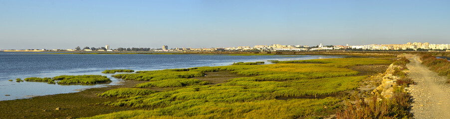 Marismas de San Fernando.Cádiz.España