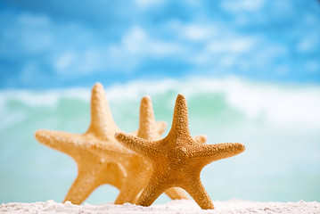 Obraz na płótnie Canvas red starfish with ocean, beach, sky and seascape, shallow dof