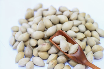 Ginkgo on on white background.