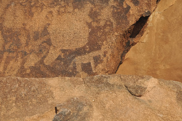 Felsgravuren, historisch, Twyfelfontein, Namibia, Afrika