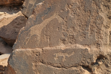 Felsgravuren, historisch, Twyfelfontein, Namibia, Afrika