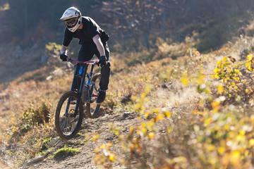Mountainbiker rides in autumn path
