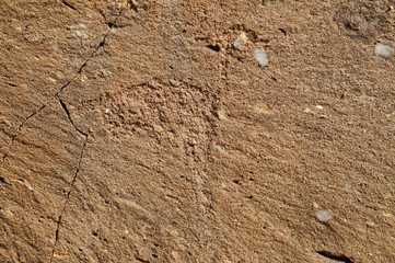 Felsgravuren, historisch, Twyfelfontein, Namibia, Afrika