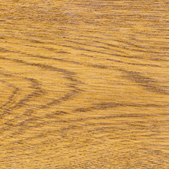 beautiful brown wooden texture or background