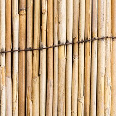 beautiful square bamboo texture