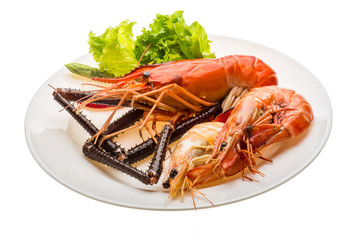 Giant Freshwater Prawn and king prawns