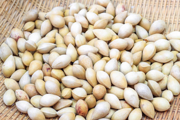 Ginkgo on the wooden floor.