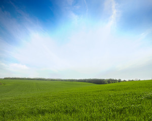Obraz premium landscape