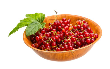 Red currant
