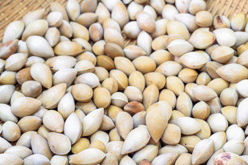 Ginkgo on the wooden floor.