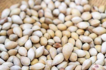 Ginkgo on the wooden floor.