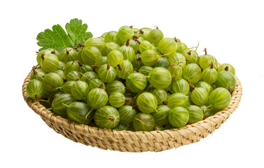 Gooseberry