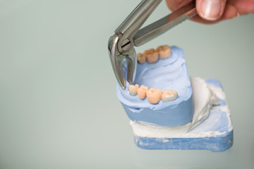 Work of dentist is not so easy