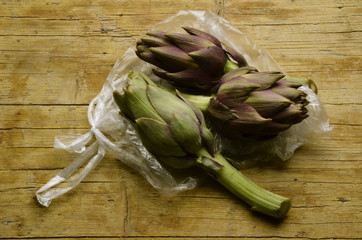 Cynara cardunculus Artichoke Carciofo Alcachofera Expo 2015