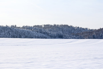 Wide winter wonderland. Wonderful icy forest white winter scene