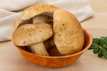 Boletus mushroom