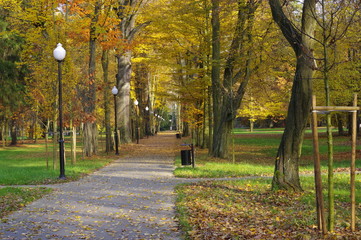 Jesień w parku. © boguslavus