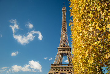 Eiffel Tower over blue sky and fall leaves