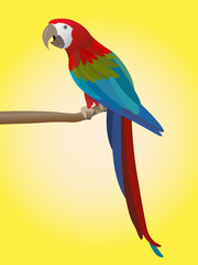 Naklejka premium colorful parrot