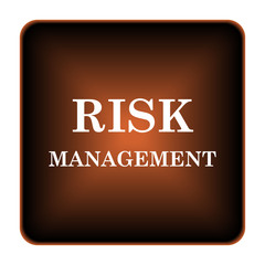 Risk management icon