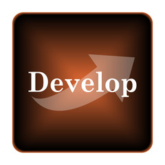 Develop icon