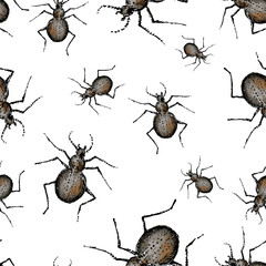 Beetle pattern. Watercolor. Vector illustration.