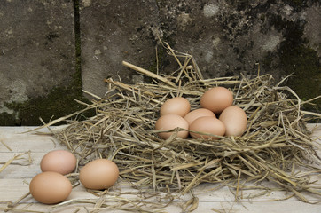 Still Life with eggs
