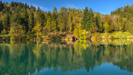 Bank of Lake Bled in sunny autumn afternoon