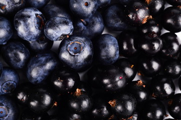 Macro closeup fresh blueberries blackcurrants background