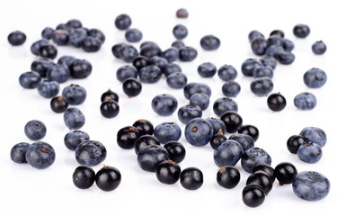 Several scattered blueberries isolated on white