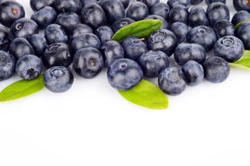 Several whole blueberries leaves isolated on white at the top