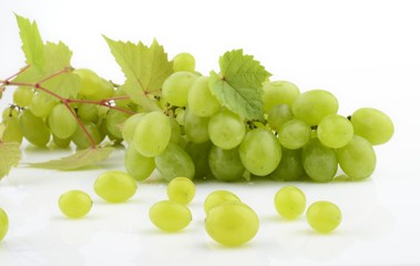 Bunch of white grapes on white with vine leaves branch
