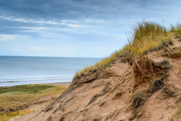 Fototapeta na wymiar Brackley Beach Sand Dunes