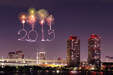2015 New Year Fireworks celebrating over Tokyo cityscape