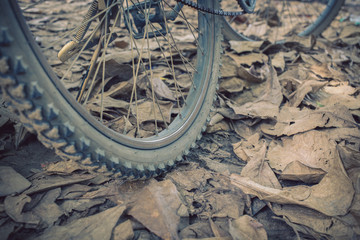 bicycle and autumn dry leaves fall on the ground