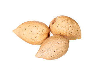 Almonds in shell isolated on white