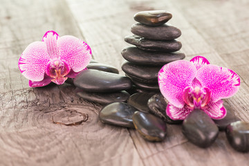 Fototapeta na wymiar Fuchsia Moth orchids and black stones on weathered deck