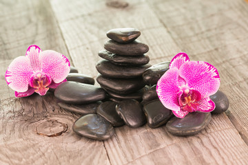 Fototapeta na wymiar Phalaenopsis orchids and black stones